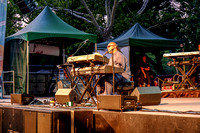 Stevie Wonders Surprise Songs In the Key Of Life Concert.  August 18th 2015. Central Pk Summer Stage