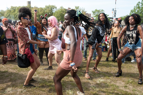 AfroPunk Fest 2017