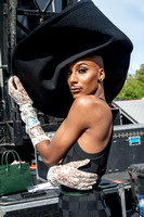AfroPunk Fest.