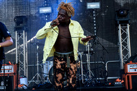 2015 AfroPunk Festival