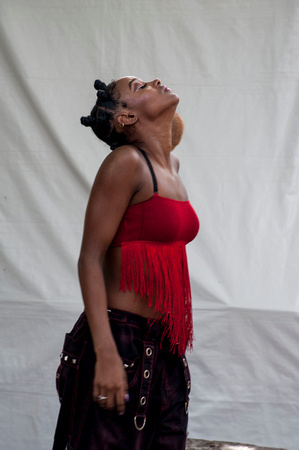 AfroPunk 2018